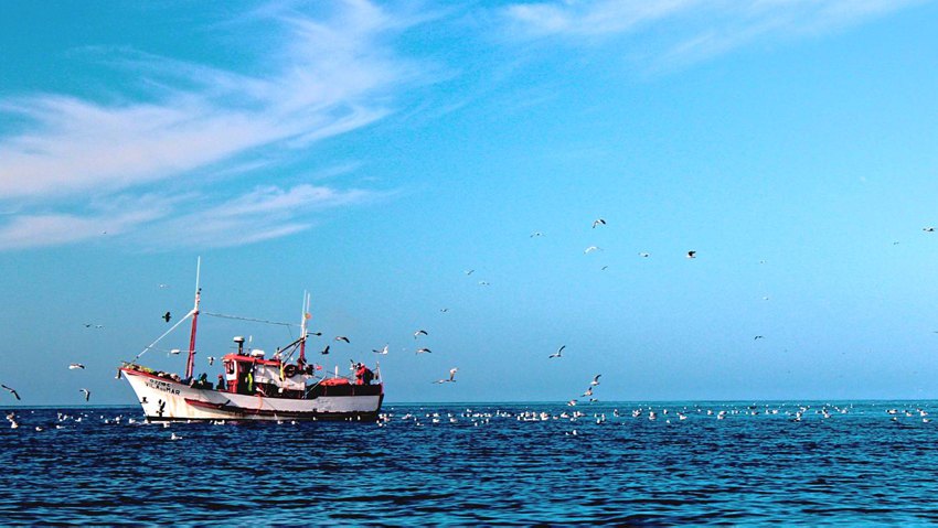 Fishing boats in algarve